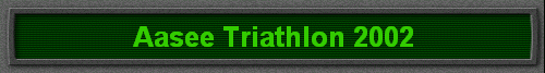 Aasee Triathlon 2002