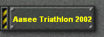 Aasee Triathlon 2002