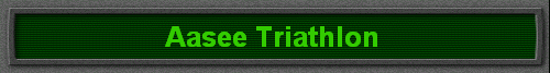 Aasee Triathlon